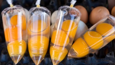 Как и откъде пазаруваме?