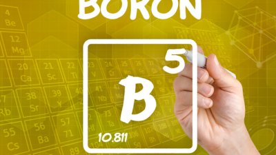 Бор – микроминералът, който ни пази здрави