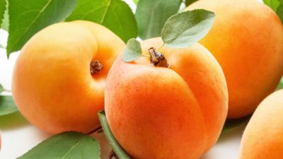 Здравословни ползи от кайсиите и ядките им