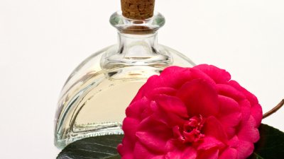 Здравословни ползи от маслото от камелия