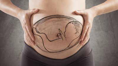 Факти за фертилността