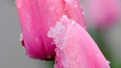 13 признака, че любовта си е отишла безвъзвратно