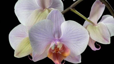 Мисъл на деня