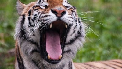 Най-лошите начини да напуснем този свят