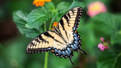 Мисъл на деня за промяната вътре в нас