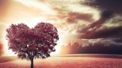 Известни случки от живота на Скот Фицджералд и Ърнест Хемингуей