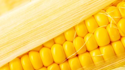 Зеленчуци, които е добре да ограничите 