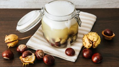 Кои са 5-те магични сили на кестена?