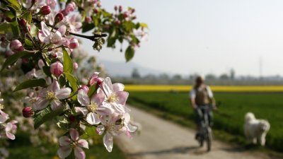 Пролетта – най-доброто време за промяна в живота