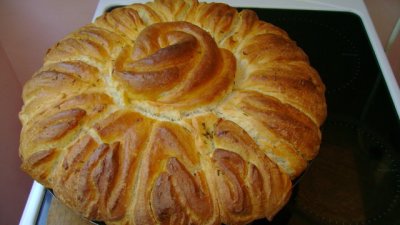 Питка – цъфнал слънчоглед