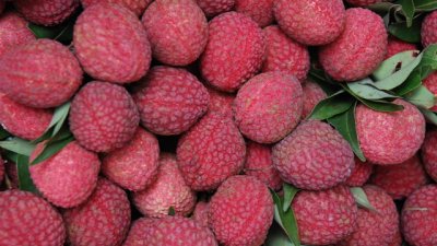 Личи, кактус и лайм за красива кожа