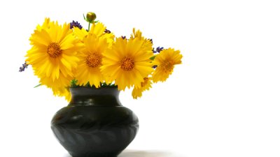 Как да изчистим замърсените вази и чаши?