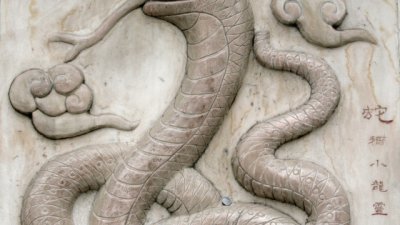 Китайският хороскоп: зодия Змия