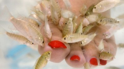 Терапия с рибки помага при много кожни проблеми