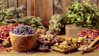 Подуване и газове? 5 билки спасяват положението