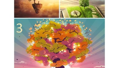 3 магически дървета разкриват какво ви очаква