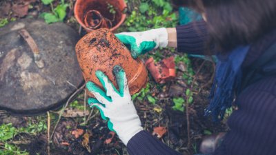 Как да подготвите градината за зимата?