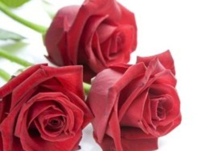 Най-романтичните цветя