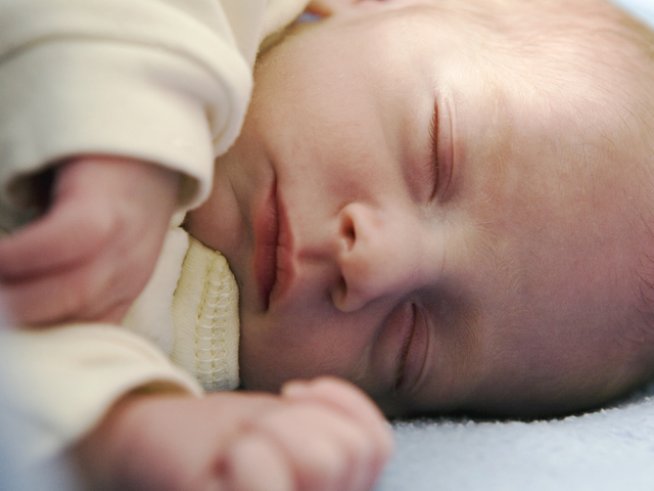 Снимка: sxc.hu