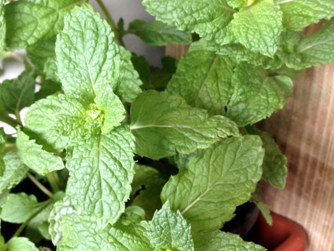 Снимка: sxc.hu