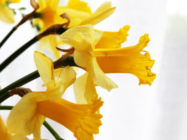 Снимка: Sxc.hu