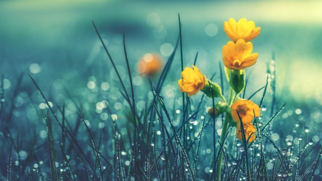 Любопитно поверие за Благовещение. Снимка: istock