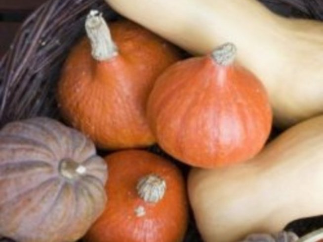 Сезонът на тиквата