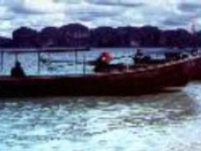 Фестивал на Тайландската кухня