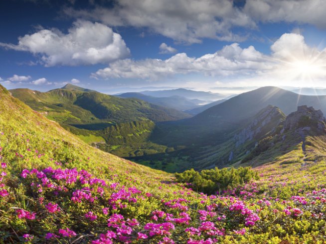 Снимка: thinkstock