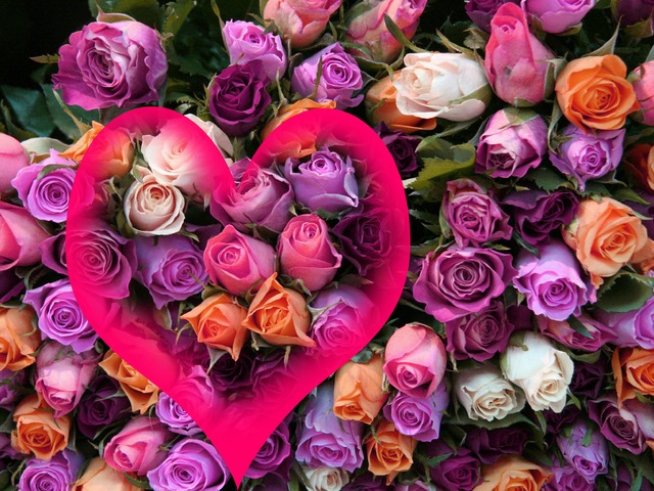 Снимка: Sxc.hu