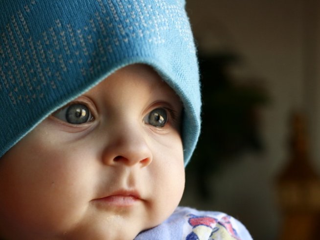 Снимка: Sxc.hu