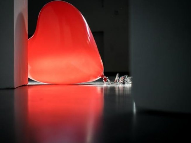 Снимка: pexels