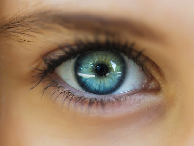 Снимка: istock