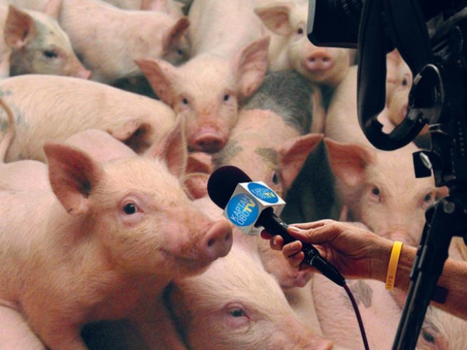 Смешната горчива история на българските медии