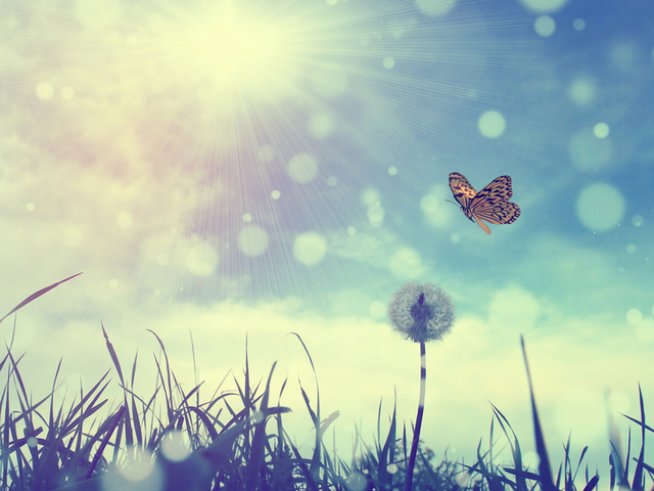 Снимка: istock