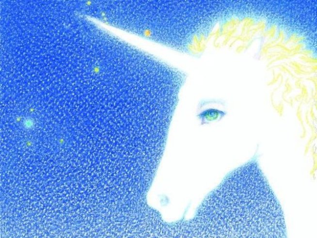 Автор на корицата: Ели Апостолова