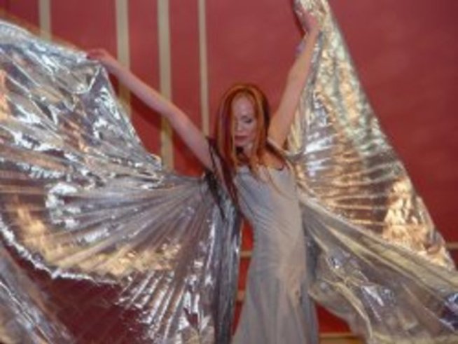 Коледен концерт “Звездна феерия 2007”