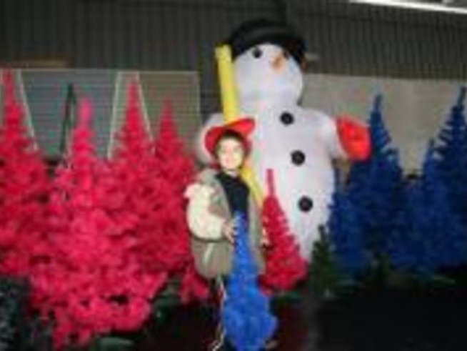 Първите български цветни елхи