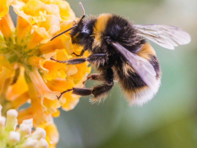 Снимка: Thinkstock