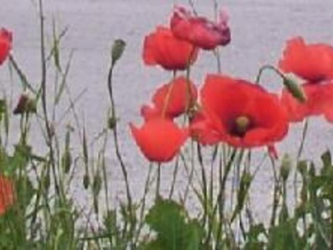 Днес е Голяма Богородица - Честит имен ден, Мария!