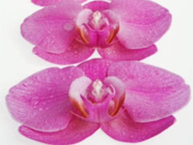 Нови средства за борба с рак на гърдата