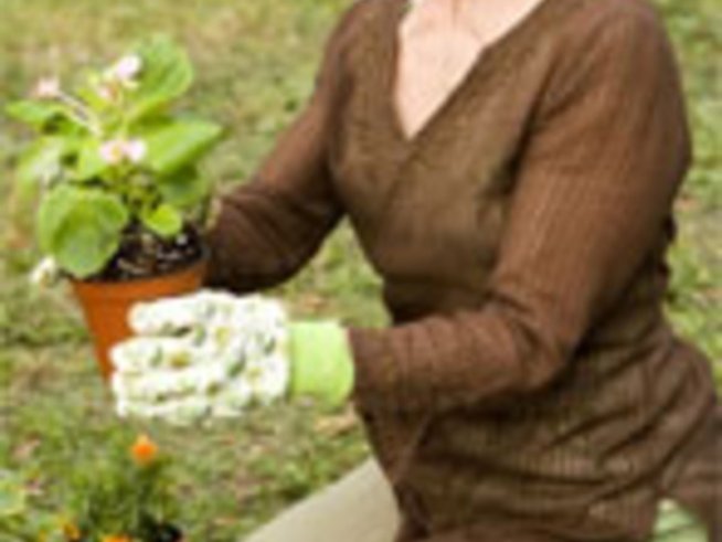 Стайните растения през пролетта