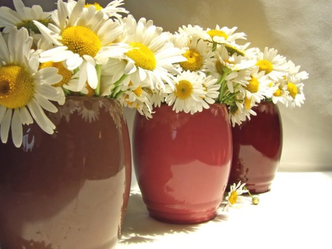 Снимка: Sxc.hu