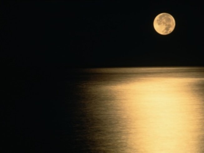 Снимка: Getty Images