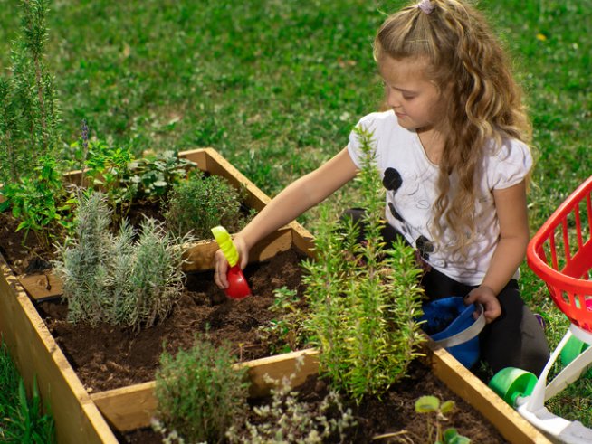 Снимка: Olympus