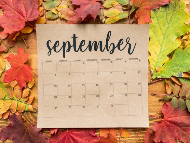 Снимка: istock