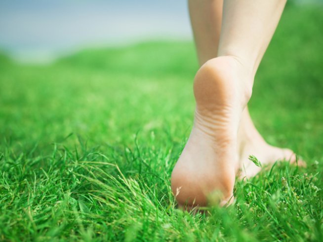 Снимка: Thinkstock