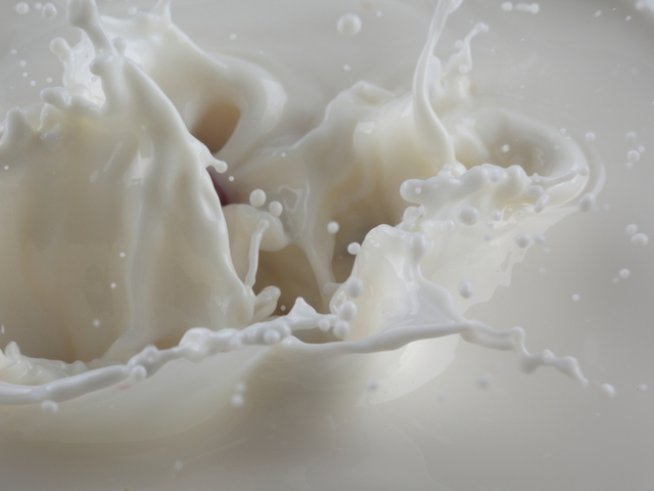 Снимка: photl.com