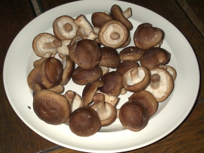 Снимка: Sxc.hu