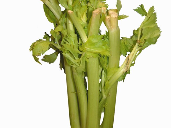 Снимка: sxc.hu